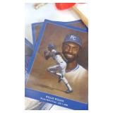 Collectible Baseball Items