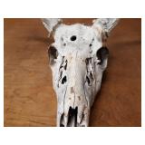Deer Skull w/ Large Antler Rack