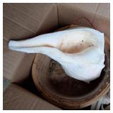 Box containing a large variety of s...