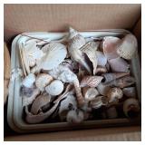 Box containing a large variety of s...