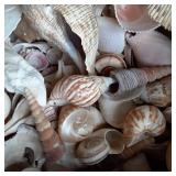 Box containing a large variety of s...
