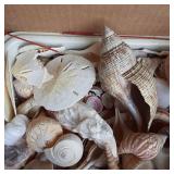Box containing a large variety of s...