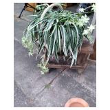 (2) vintage chairs, metal small ben...