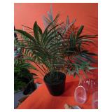 Misc. Home Decor