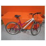 21 Speed Bike