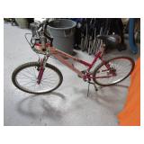 21 Speed Bike