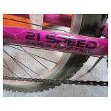 21 Speed Bike