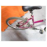 21 Speed Bike