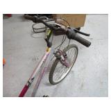 21 Speed Bike