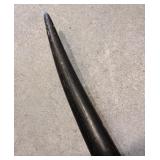 Fun Variety of Decorative Instruments