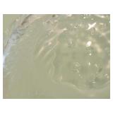 Lalique Crystal Fish Plate