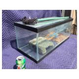 Aquarium Fish Tank