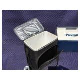 Igloo Insulated Bag/Cooler