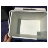 Igloo Insulated Bag/Cooler