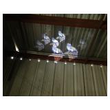 MN Sports Items - Nascar Steins