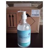Hand Sanitizer w/Moisturizer 70% Ethyl Alcohol (Case Pack 20)