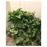 Lot of 15 Silk Greens
