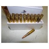 20 - 7.62 x 51mm Ammunition