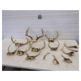 Deer Antlers