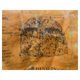 Ameristep Multi-Season Dog House Pack-In Blind.