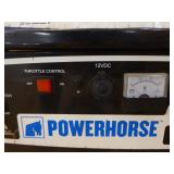 Powerhorse 9000 Generator