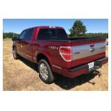 2014 Ford F150 Platinum 4X4