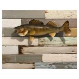 Walleye Mount