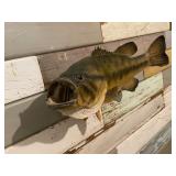 Bass Mount