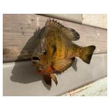Sunfish Mount