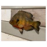 Sunfish Mount