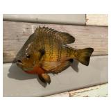 Sunfish Mount