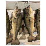 String of Bass Mount