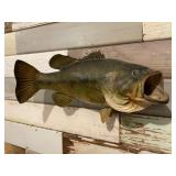 Bass Mount