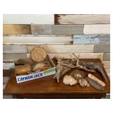 Variety of Driftwood