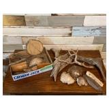 Variety of Driftwood