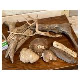 Variety of Driftwood