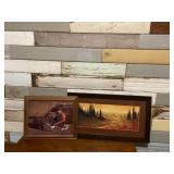 Framed Pictures