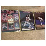 Minnesota Twins Framed Art