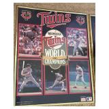 Minnesota Twins Framed Art