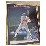 Minnesota Twins Framed Art