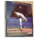 Minnesota Twins Framed Art