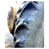 Titan Tires (Qty 2)