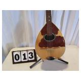 Bouzouki Guitar