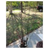 Fishing Poles
