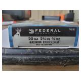 Federal 20 ga 2 3/4 " Rifled Slug