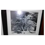 Ansel Adams Photography. Mural Project 1941- 1942. see pics!