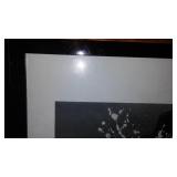 Ansel Adams Photography. Mural Project 1941- 1942. see pics!