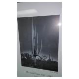 Ansel Adams Photography. Mural Project 1941- 1942. see pics!