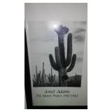 Ansel Adams Photography. Mural Project 1941- 1942. see pics!