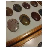 Collection of Cabochon Gemstones